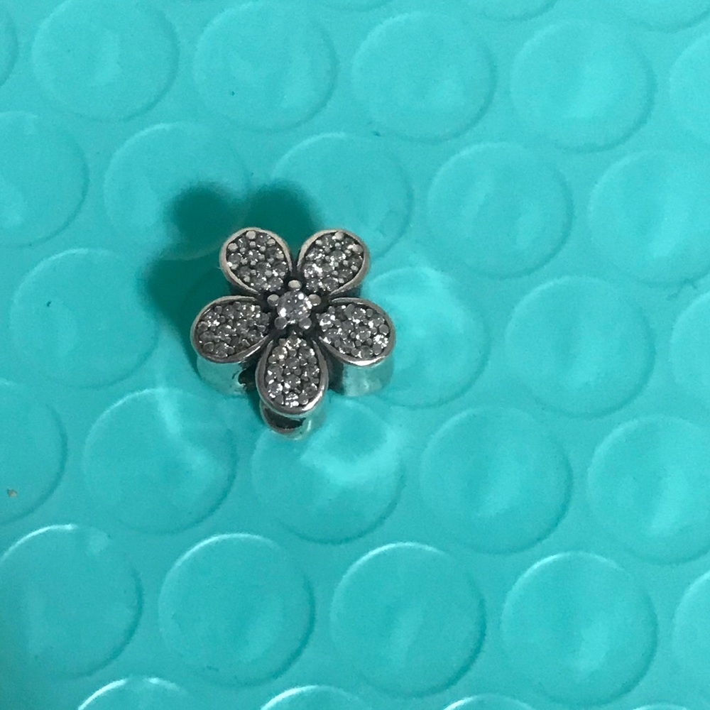 Pandora charm